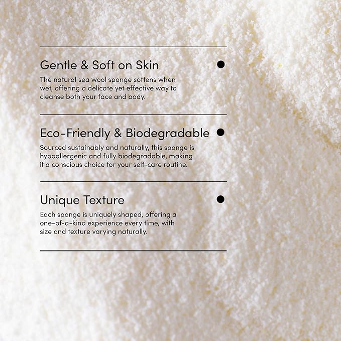 LATHER - Natural Sea Wool Sponge, 5-6" - Organic Exfoliating Body Scrubber - Soft, Gentle Cleansing - Hypoallergenic - All Skin Types - Florida Natural Loofah Sponge - Cruelty Free - Beauty & Skincare