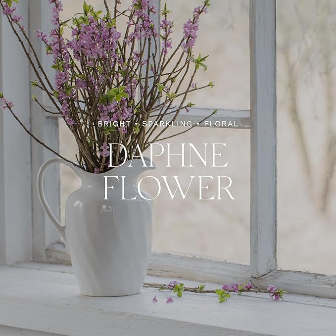 Antica Farmacista Home Ambiance Diffuser - Long-Lasting Reed Scent Diffuser - Luxury Room Freshener Gift - Daphne Flower, 8.45 fl oz