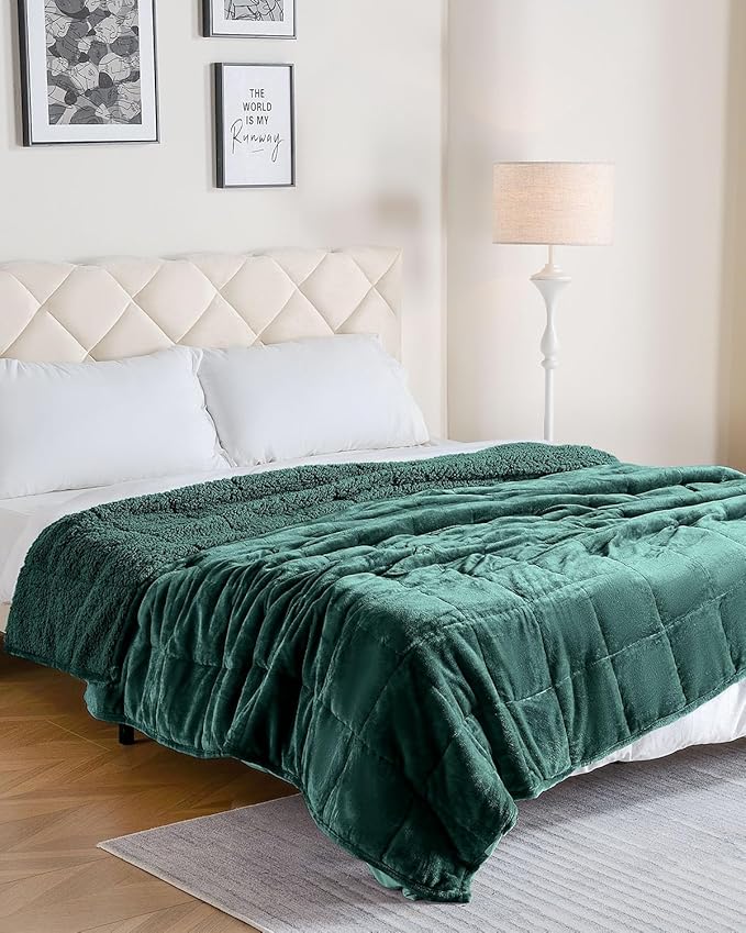 Uttermara Weighted Blanket for Adults, Double Size Heavy Blanket with Reversible Soft Shiny Velour Fleece and Cozy Warm Sherpa for Couch Bed, Calming and Relaxing, 48 x 72 inches 15 lbs in Green