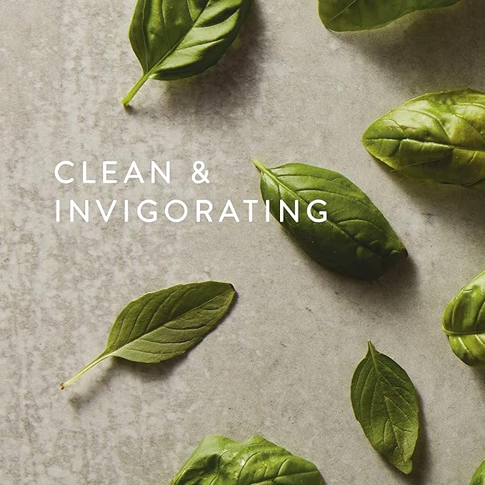 Thymes Scented Candles for Women & Men - Fresh Home Fragrance - Matte White Candles - Notes of Fresh Basil, Tomato Leaf, Sage, Black Currant, Blood Orange, & Petitgrain (Fresh-Cut Basil, 8 oz)