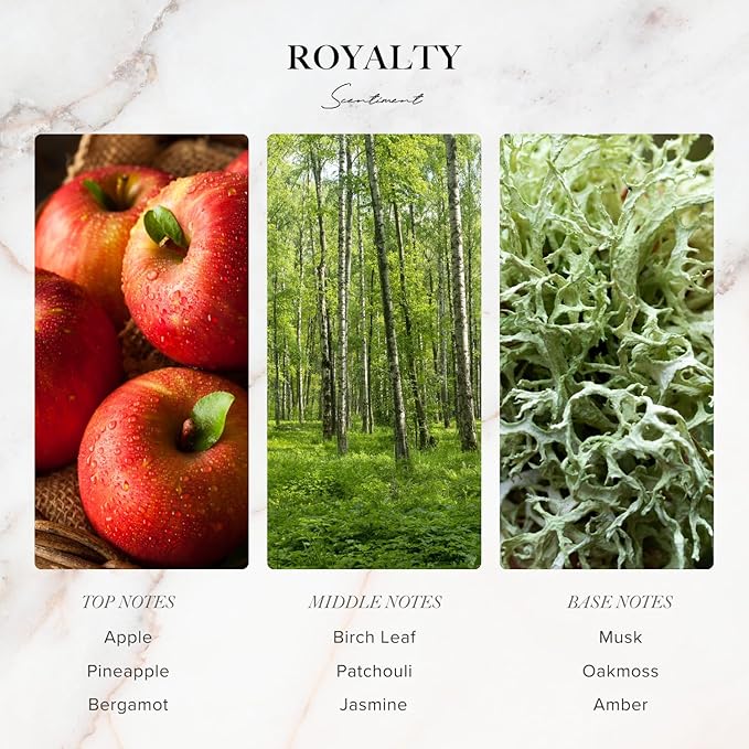 Scentiment Designer Diffuser Oil Discovery Kit – Top 3 Luxury-Inspired Scents | Aromatherapy Fragrance Oils for Home & Office | Long-Lasting & Elegant Scent (3 x 20ml)