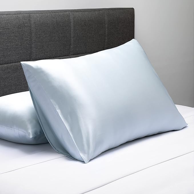 Fishers Finery 25mm 100% Pure Mulberry Silk Pillowcase (Blue Standard)