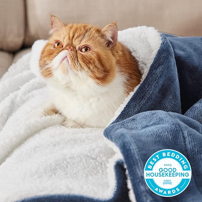 Bedsure GentleSoft Sherpa Fleece Throw Blanket Twin Size for Couch - Thick and Warm Throw for Women and Men, Soft Fuzzy Plush Twin Blanket for Winter, Slate Blue, 60x80 Inches