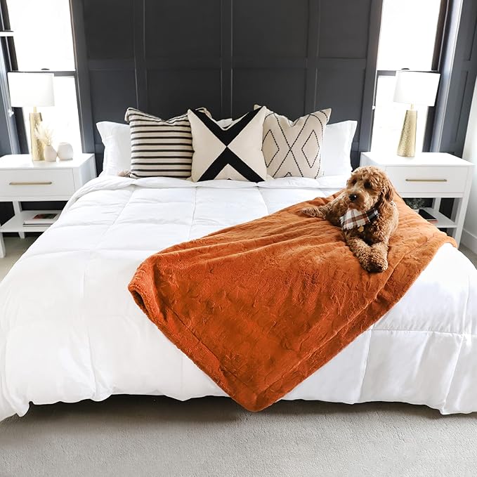 Gray Eagle Oversized King Comforter 108" x 90" – Extra Large Synthetic Down Duvet Insert – Ultra Soft Microfiber, All-Season, Lightweight & Fluffy – Hotel-Quality, Machine Washable, White