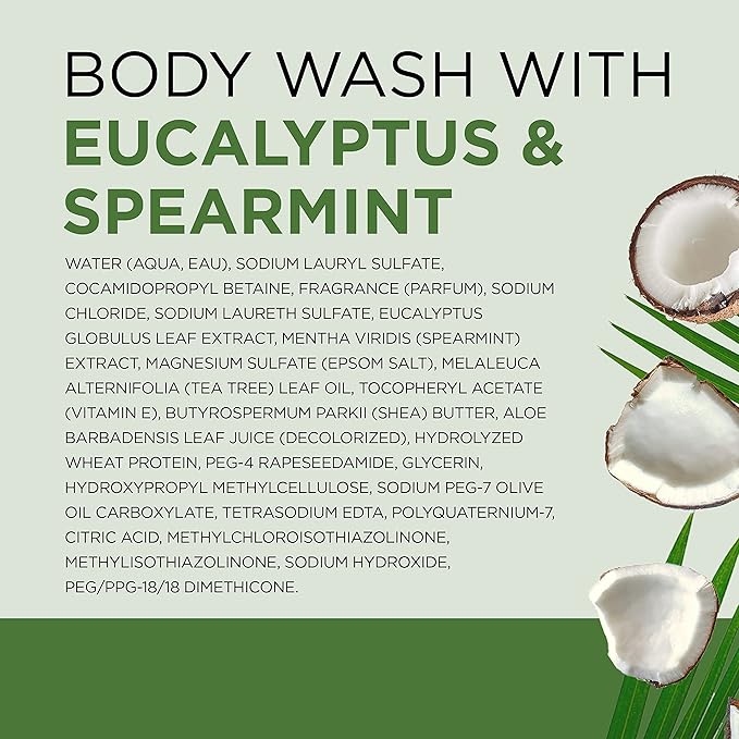 Dr Teal's Body Wash with Pure Epsom Salt, Relax & Relief with Eucalyptus & Spearmint, 24 fl oz (Pack of 4)