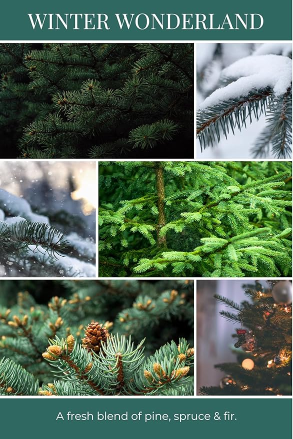 ECO CANDLE CO. Room & Linen Spray, Winter Wonderland, 8 oz. - Scents Of Pine, Spruce, & Fir - Recycled Aluminum Bottle, No Propellents, Pump Top, All Natural Ingredients