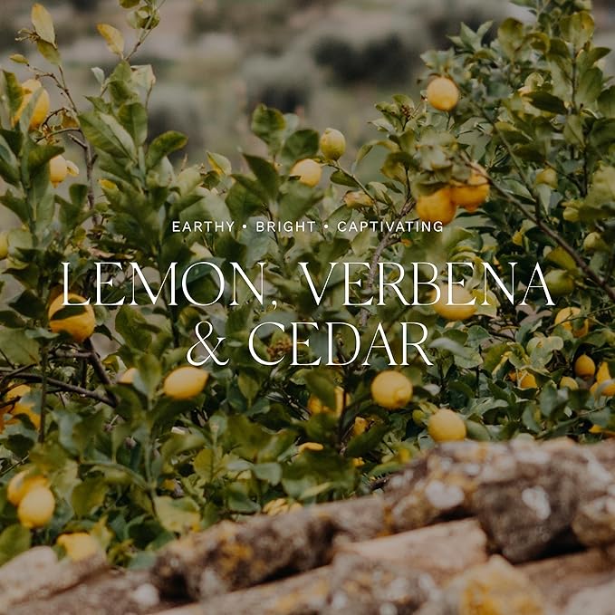 Antica Farmacista Bubble Bath - Relaxing Foam Bath with Honey, Jojoba Oil & Aloe Vera - Luxury Gift for Any Occasion - Lemon, Verbena & Cedar, 16 fl oz