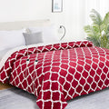 Homemate Heated Blanket Electric Queen Size - 84“x90“ Heating Blanket with 10 Fast Heat Levels 8 Hours Auto Off Ultra Soft Cozy Flannel Over-Heated Protection ETL Certification Keep Warming in Home
