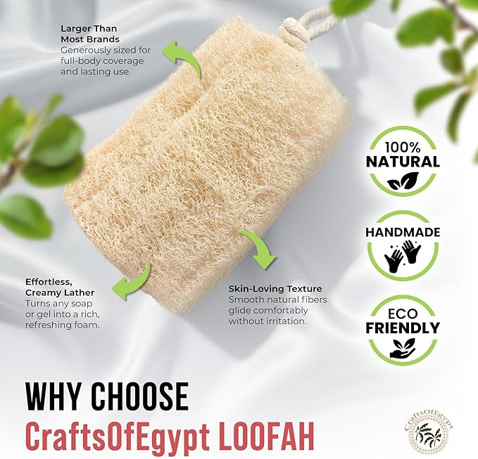 CraftsOfEgypt Natural Loofah Sponge – Egyptian Luffa Body Scrubber Pack of 2 for Men & Women, Natural Bath & Shower Loofah Exfoliator, All Natural Loofah Sponges for Face Back & Body, 6" x 6"
