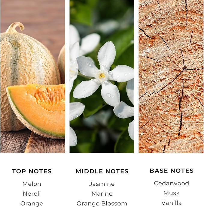 Brilliant Scents Atlantis Escape Fragrance Oil 500ml - Premium Diffuser Oil for Home, Office, Hotels - Long Lasting, Plant-Based, Meets IFRA Standards, USA-Made - Neroli, Orange Blossom, Vanilla