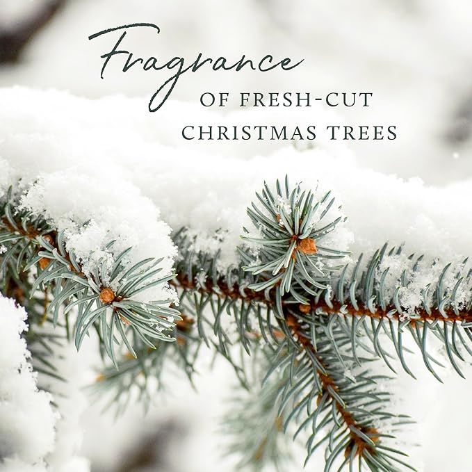 Thymes Frasier Fir Pine Needle Candle – Holiday Candles for Home Scented with Notes of Crisp Siberian Fir, Cedarwood & Sandalwood – Christmas Decor – Christmas Gifts for Women & Men (2 oz)