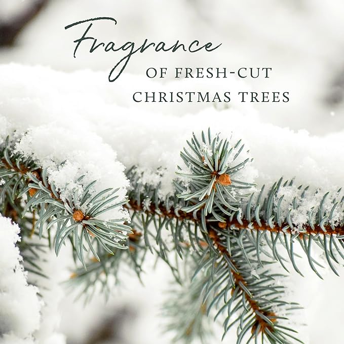Thymes Frasier Fir Flocked Jar Candles – Holiday Scented Candles for Home with Notes of Crisp Siberian Fir, Cedarwood & Sandalwood – Luxury Home Decor Gifts for Women & Men (3-Wick, 18 oz)