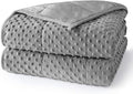 Weighted Blanket for Adults Queen Size 20 lbs, All-Season Minky Dots Cooling Heavy Blanket for Women Men, Soft Cozy and Breathable Weighted Throw, Machine Washable, 60 x 80 Inches, Grey