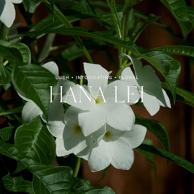 Antica Farmacista Room Spray - Hana Lei, 3.4 Fl Oz (Pack of 1)