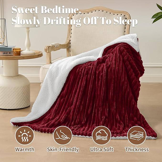 Electric Heated Blanket Queen Size Dual Control - 84"x90" Fast Heating Bed Blankets with 6 Heating Levels & 10 Hours Auto Off, Soft Ribbed Flannel, Over-Heat Protection ETL, Red