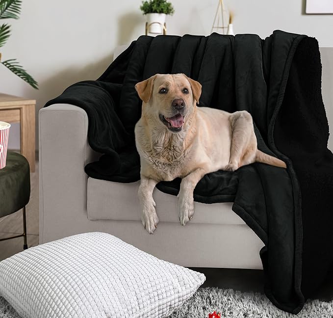 Utopia Bedding Sherpa Blanket Queen Size (Black, 90x90 Inches) - Soft Lightweight Plush Fleece Reversible Blanket for Bed, Sofa, Couch, Camping and Travel