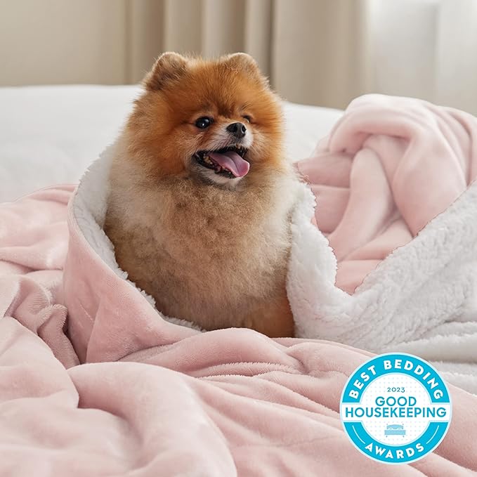 Bedsure GentleSoft Sherpa Fleece Blankets Queen Size for Bed - Thick and Warm Throw for Girls and Women, Soft Fuzzy Plush Queen Blanket for Winter, Pink, 90x90 Inches