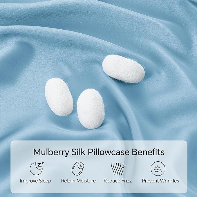 INFIIXSO Mulberry Silk Pillow Case King Size, Silk Pillowcase with Hidden Zipper 20"x36", Extraordinary Smooth and Soft Pillow Cases for Hair and Skin(Light Blue, 1 Pack)