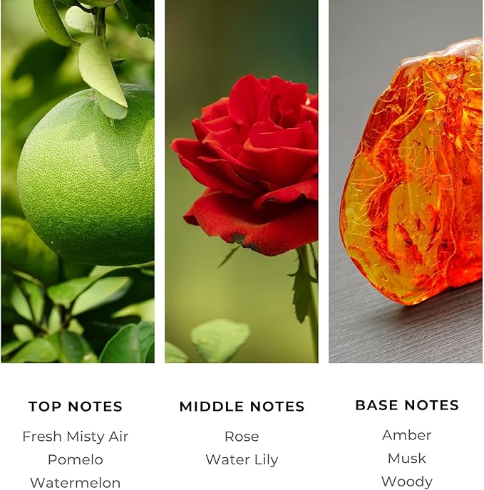 Brilliant Scents Diffuser Oil Refill, Inspired by Bellagio Hotel & Casino, Hotel Series Aroma Scents, Essential Oils Set for Home, Fragrance Oil for Candle Making, Home, 50 ML, Blue Ice