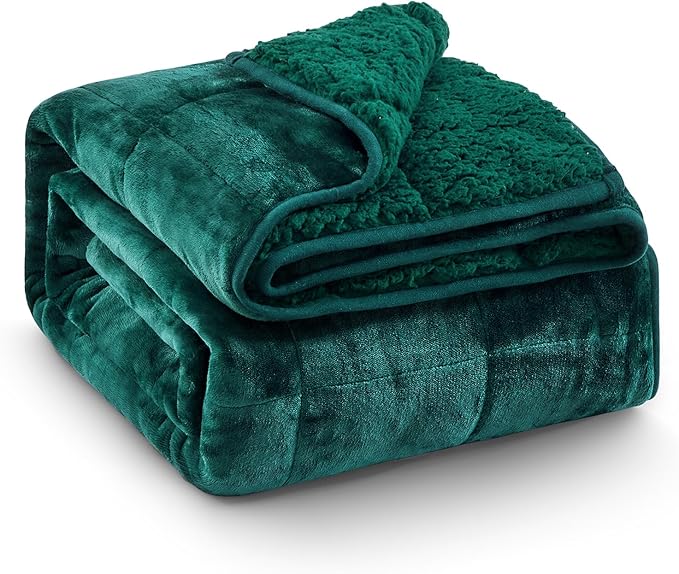 Super Fuzzy Soft Sherpa Fleece Weighted Blanket, 20 lbs Dual Sided Fluffy Heavy Weighted Blankets for Adults - No Bunching with Double Layers of Soft Inner Lining (60"x 80", 20 Pounds)