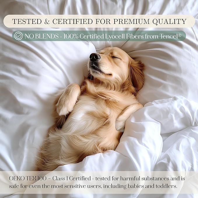 CASILVA Eucalyptus Sheets - Infused with Silver for Anti-Odor, Softer Than Silk Fibers, More Cooling Than Cotton - Perfect for Hot Sleepers & Sensitive Skin - 100% Tencel Lyocell - King Sheet Set