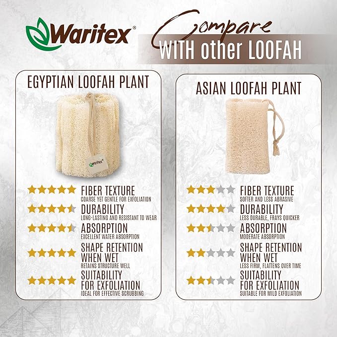 Waritex Premium Natural Egyptian Loofah Sponges, Made from 100% Natural Organic Material, Gentle Skin Exfoliation, and Full-Body Spa Experience – Eco-Friendly Loofah 2 Count (1 Pack)