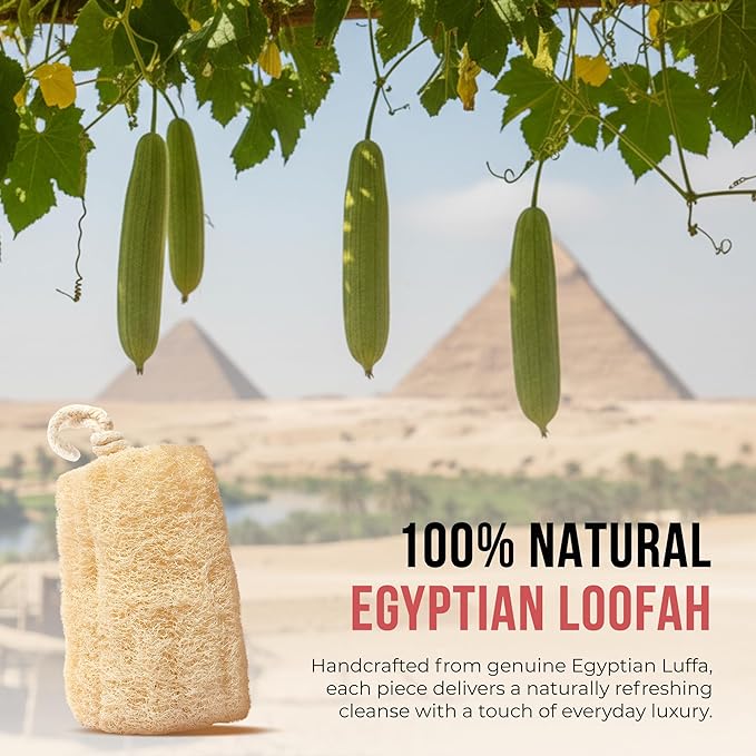 CraftsOfEgypt Natural Loofah Sponge – Egyptian Luffa Body Scrubber Pack of 3 for Men & Women, Natural Bath & Shower Loofah Exfoliator, All Natural Loofah Sponges for Face Back & Body, 6" x 6"