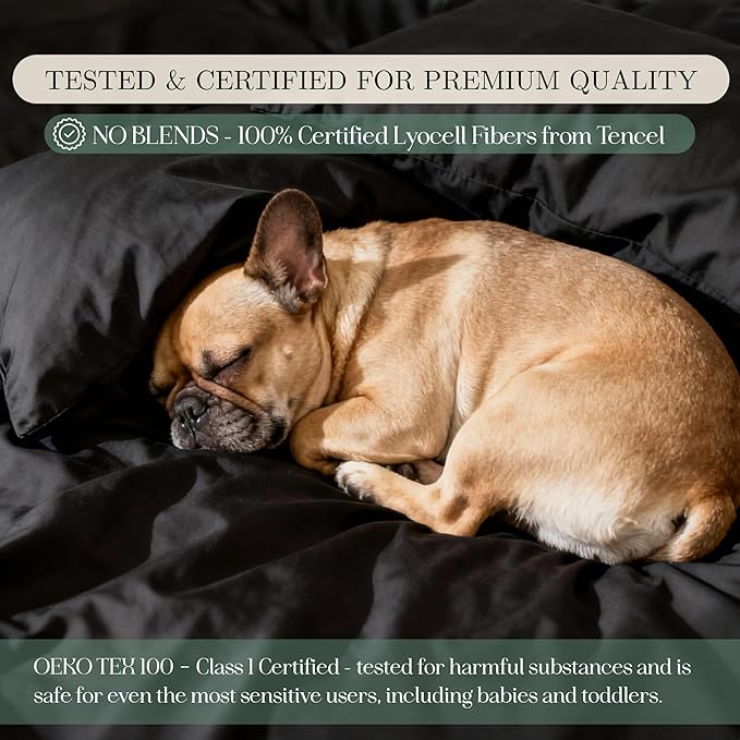 Eucalyptus Sheets - Infused with Silver for Anti-Odor, Softer Than Silk Fibers, More Cooling Than Cotton - Perfect for Hot Sleepers & Sensitive Skin - 100% Tencel Lyocell - King Sheet Set