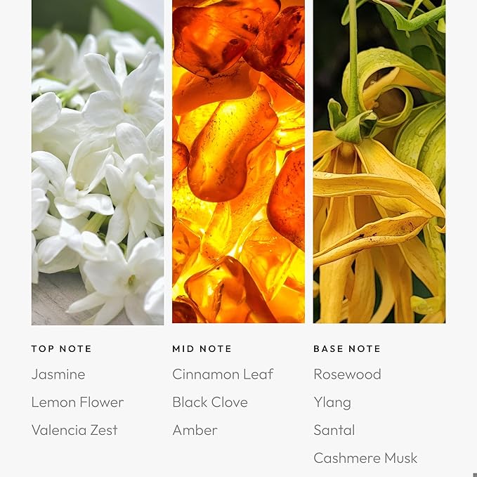 Aroma360 - Sweet Caroline Fragrance Oil