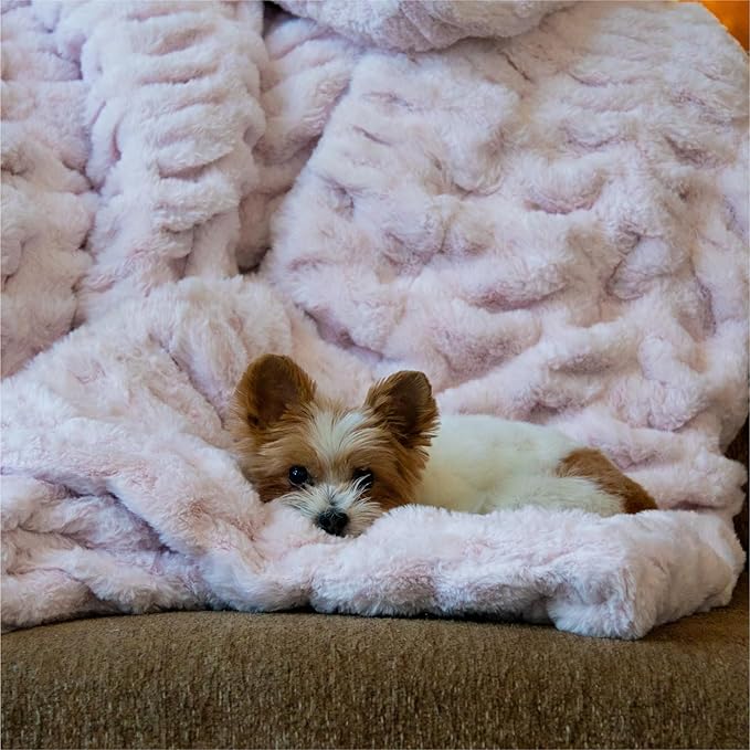Minky Designs Blossom Pink Minky Blanket – Ultra Soft Faux Fur Throw Blanket for Couch, Bed & Home – Fluffy, Warm & Luxurious – Chic Collection (X-Large, 60x84)