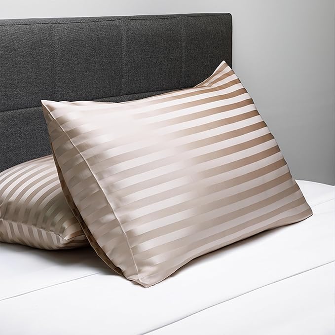 Fishers Finery 25mm 100% Pure Mulberry Silk Pillowcase (Taupe Stripe Queen)