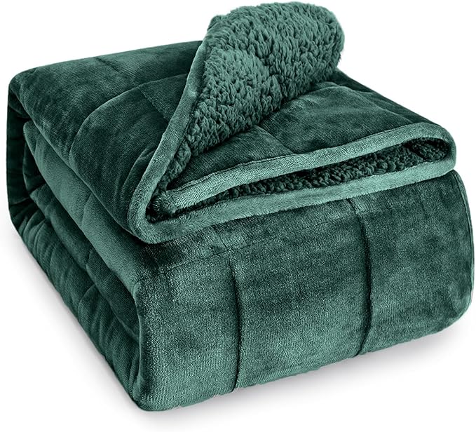 Wemore Sherpa Fleece Weighted Blanket for Adult, 15 lbs Dual Sided Cozy Fluffy Heavy Blanket, Ultra Fuzzy Throw Blanket with Soft Plush Flannel Top, 80 x 87 inches, Green on Both Sides