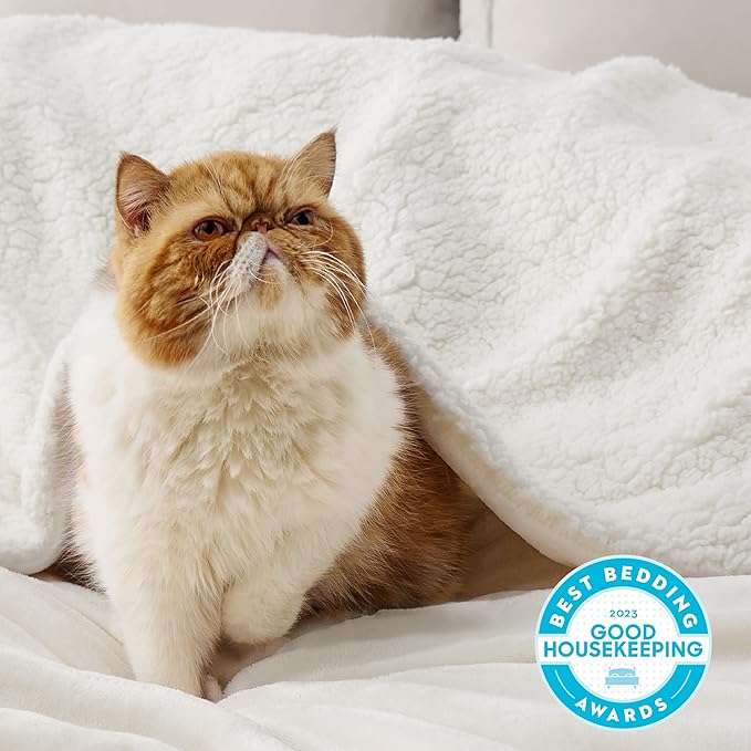 Bedsure GentleSoft Sherpa Fleece Blankets Queen Size for Bed - Thick and Warm Throw for Women and Men, Soft Fuzzy Plush Queen Blanket for Winter, Cream, 90x90 Inches