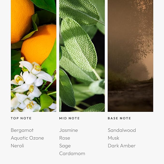 Aroma360 Ocean Eyes 50mL