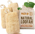 CraftsOfEgypt Natural Loofah Sponge – Egyptian Luffa Body Scrubber Pack of 3 for Men & Women, Natural Bath & Shower Loofah Exfoliator, All Natural Loofah Sponges for Face Back & Body, 6" x 6"