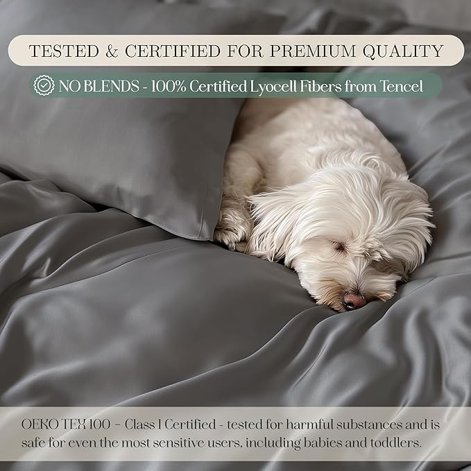 CASILVA Eucalyptus Sheets - Infused with Silver for Anti-Odor, Softer Than Silk Fibers, More Cooling Than Cotton - Perfect for Hot Sleepers & Sensitive Skin - 100% Tencel Lyocell - Twin Sheet Set