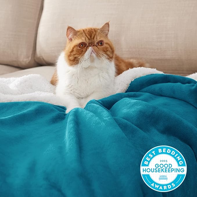 Bedsure GentleSoft Sherpa Fleece Blankets King Size for Bed - Thick and Warm Throw for Women and Men, Soft Fuzzy Plush King Blanket for Winter, Teal, 108x90 Inches