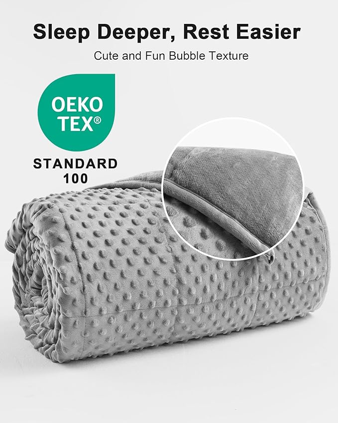 Minky Dot Weighted Blanket for Adults Queen Size 15 lbs, Soft Cooling Heavy Breathable Blanket for All-Season, Washable Weighted Throw with Glass Beads, 60 x 80 Inches, Grey