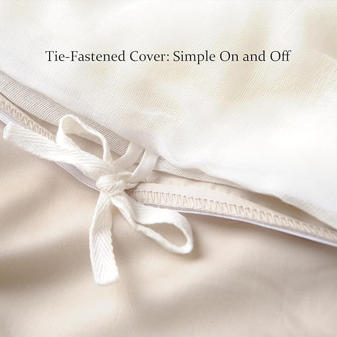 CUDDLE DREAMS Silk Filled Comforter for All Season, Detachable Tencel Duvet Cover for Easy Care, Naturally Breathable (Light Pewter, Twin)