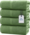 DAN RIVER Bath Towels Set of 4, 27 x 54 Inches, 100% Cotton, Larger & Lighter Weight, Quicker to Dry, Super Soft and Absorbent, Ideal Large Bath Towel for Daily Use, Sage Green