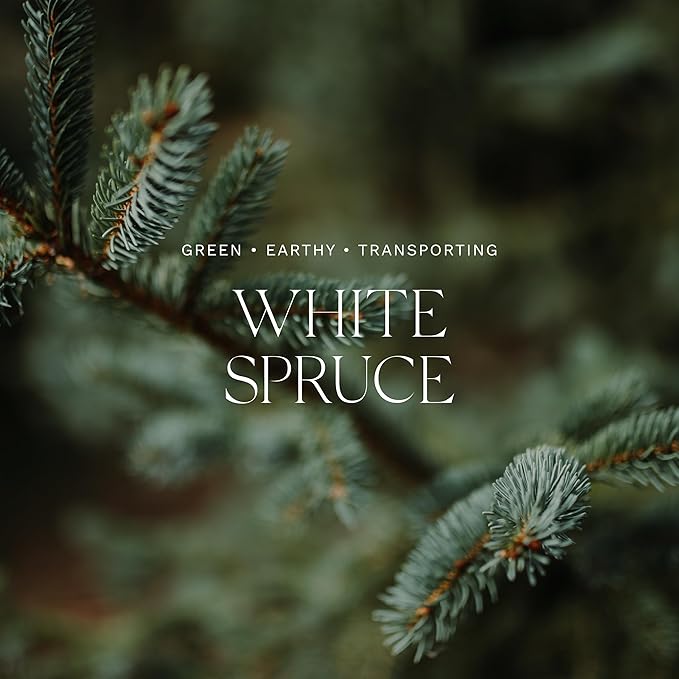 Antica Farmacista Three-Wick Candle - Decorative Home Candle - Long-Lasting & Premium Scented - Luxury Gift - White Spruce, 9 oz