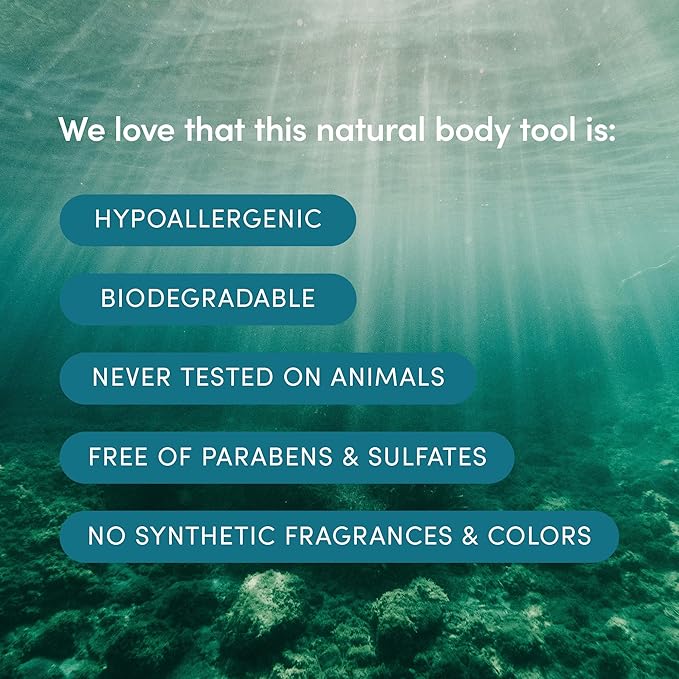 LATHER - Natural Sea Wool Sponge, 5-6" - Organic Exfoliating Body Scrubber - Soft, Gentle Cleansing - Hypoallergenic - All Skin Types - Florida Natural Loofah Sponge - Cruelty Free - Beauty & Skincare