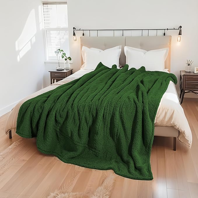 Electric Heated Blanket 6 Heating Settings & 10H Auto Off Full 72×84 Double Sided Plush Sherpa Ultra-Soft Warm Thick, Machine Washable, Fast Heating, Home Office, Green