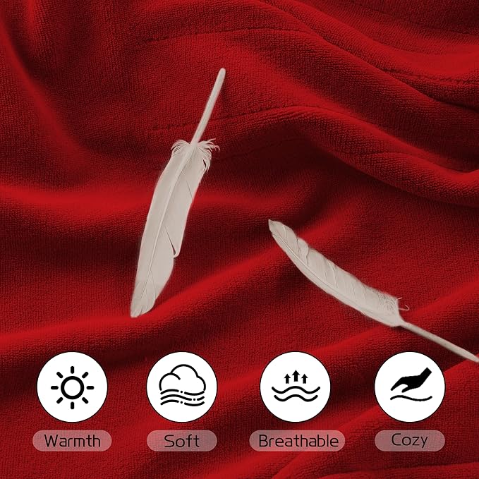 Heated Electric Blanket 62"x84" Twin Size, Soft Coral Fleece Blanket with 4 Heating Levels & 10 Hours Auto-Off, Fast Heating, Warm Cozy, Machine Washable for Home & Office - Red