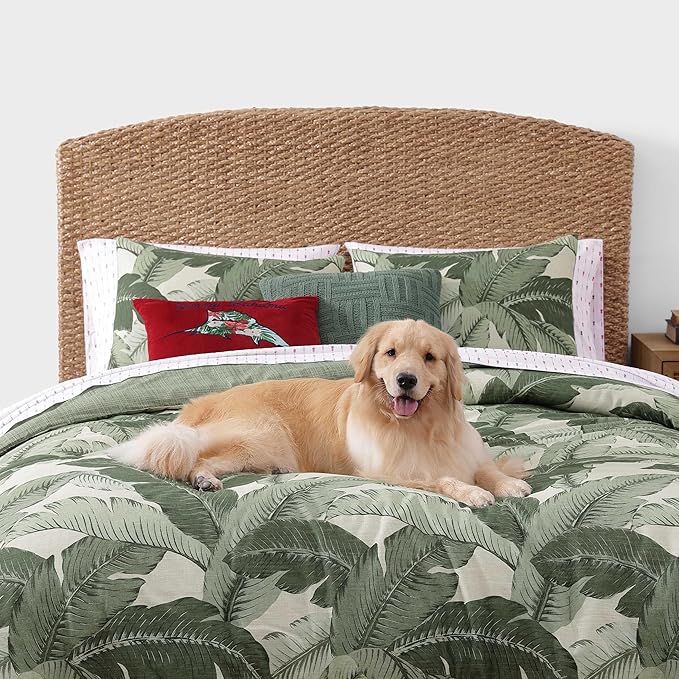 Tommy Bahama - Queen Size Sheet Set, Crisp & Cool Cotton Percale Bedding with a Smooth Lightweight Feel, 4 Piece Holiday Bed Sheets with Matching Pillowcases (Pineapple Pinstripe Red)