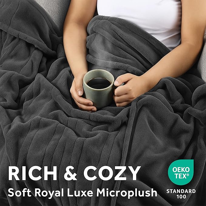 Sunbeam Electric Throw Royal Luxe Microplush Heated Blanket, 4 Heat Settings, 4-Hour Auto Shut-Off, Fast Heating, Warm and Cozy, Dove Grey Color, 50" x 60"