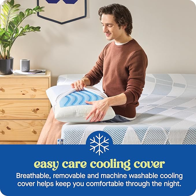 Sealy Dreamlife King Size Memory Foam Cooling Pillow with SealyChill Cooling Gel, Removable Machine-Washable Cover, Made in The USA, White