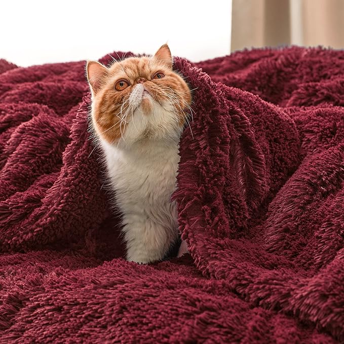 Bedsure GentleSoft Fluffy Burgundy Red Blankets Queen Size for Bed, Thick Sherpa Faux Fur Fleece Fuzzy Plush Winter Warm Soft Full Queen Blankets, Bedroom Decor Red Cozy Gifts for Women Men, 90x90