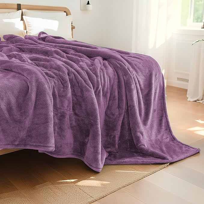 Electric Heated Blanket Queen Size 84"x90", Dual Controllers, Cozy Large Oversized, 5 Heating Levels & 10 Hours Auto Off, Cozy for Bed, Sofa, & Office, Machine Washable, Purple