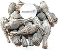 NessaStores 40 California White Sage Smudge Sticks, 3 to 4 Inch Hand Tied, All Natural for Home Cleansing, Stress Relief, & Clearing Negative Energy JC-005
